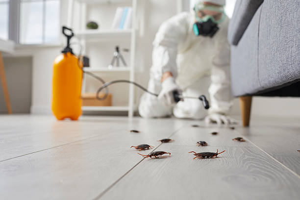 Trusted Fumigation Services service in West Hazleton, PA - Nex Pest Control